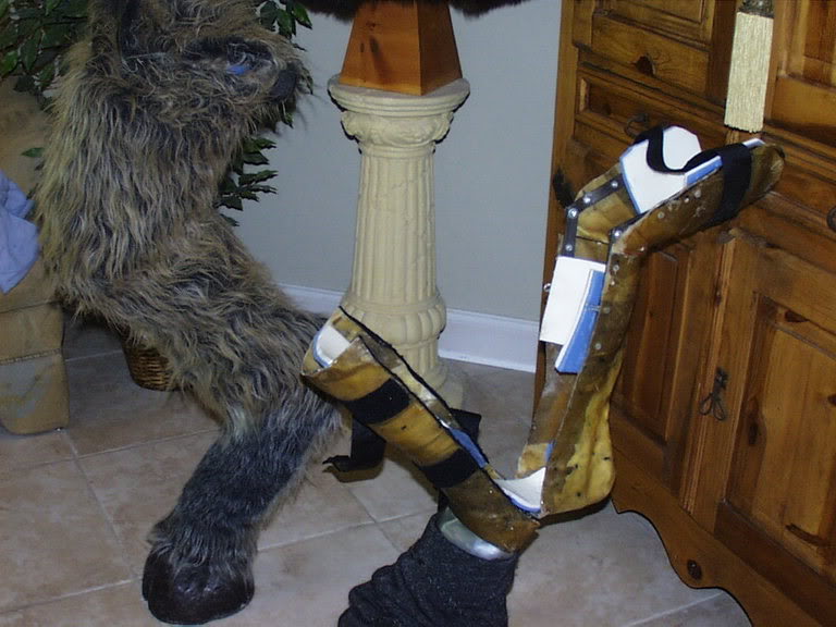 horseleg4.jpg