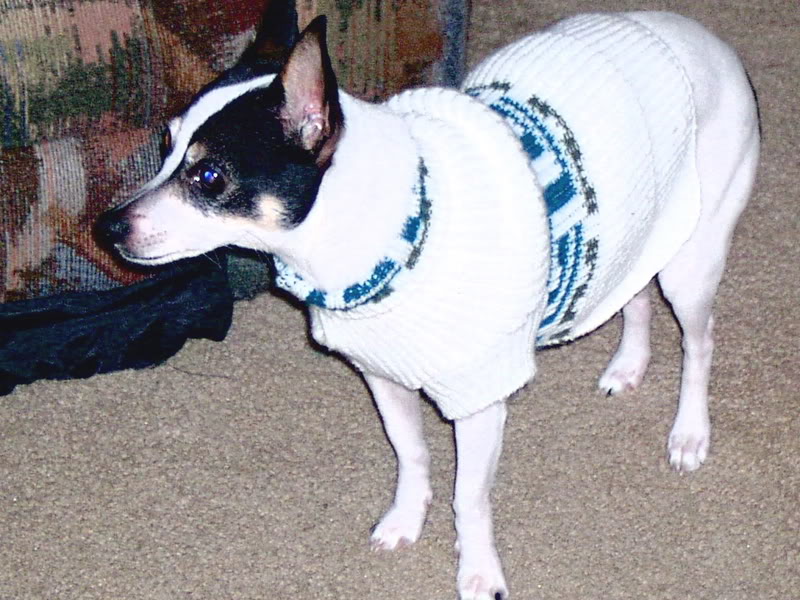 IM002081.jpg