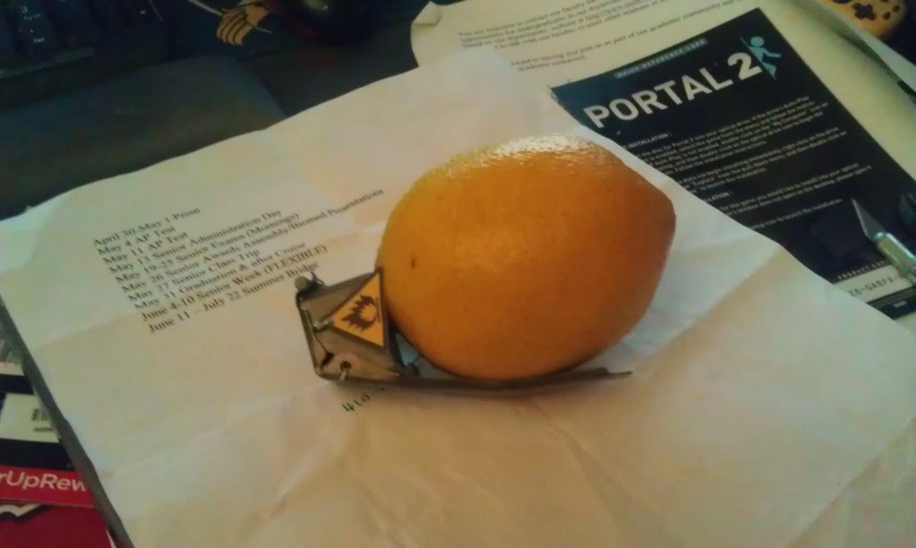 IMAG0061.jpg