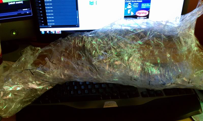 IMAG0242.jpg