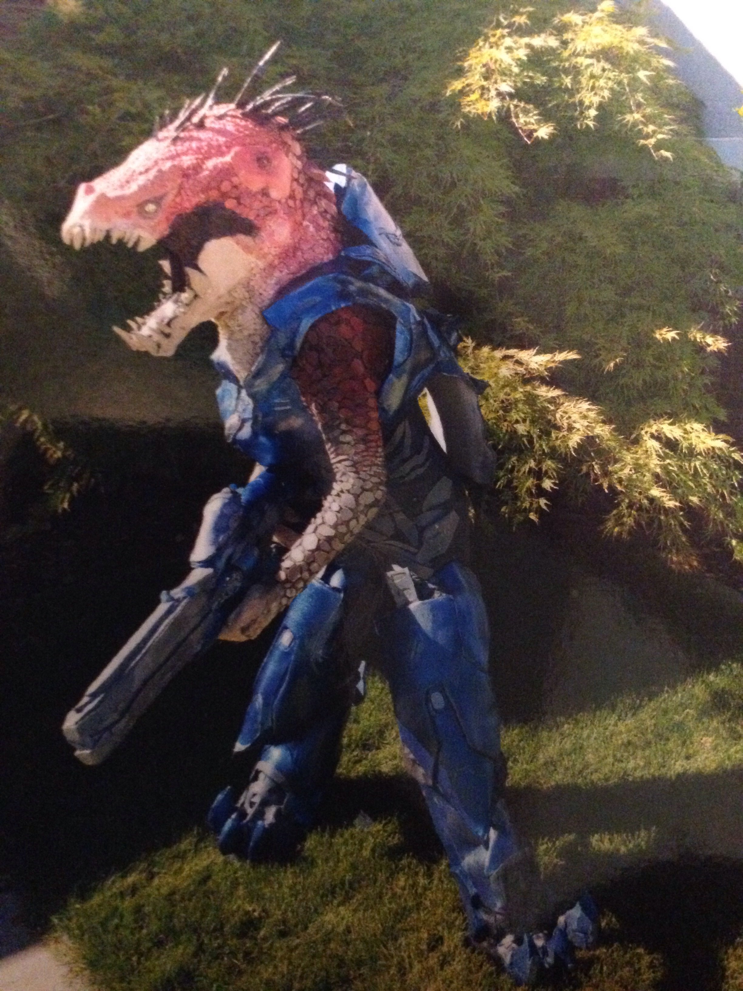 image.jpg