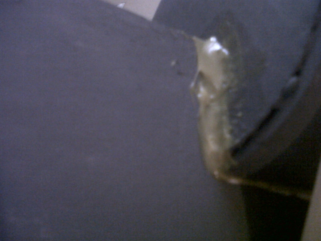 IMG-20120708-00311.jpg