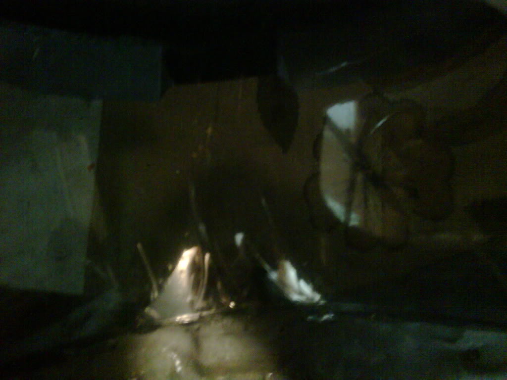 IMG00069-20100928-1724.jpg