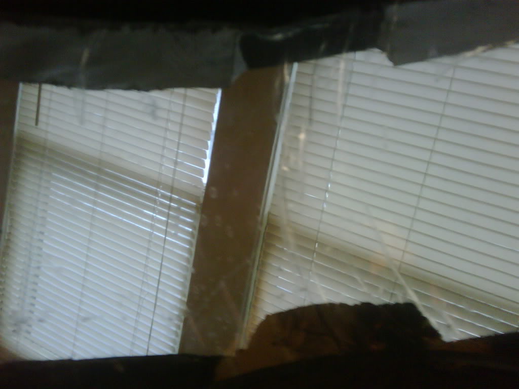 IMG00070-20100928-1725.jpg