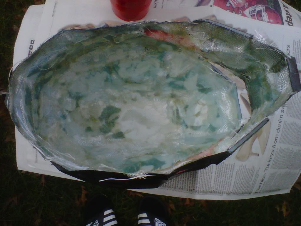 IMG00115-20111126-1533.jpg