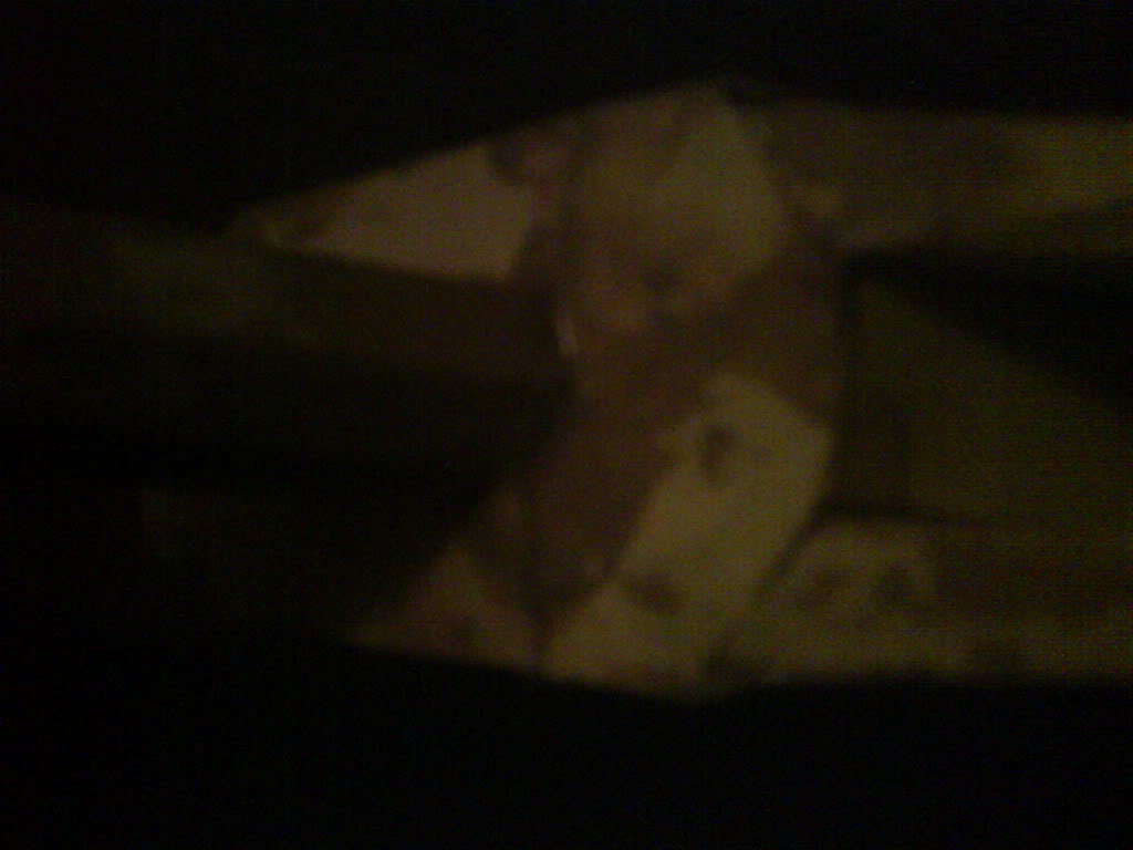 IMG00210-20101023-2228.jpg