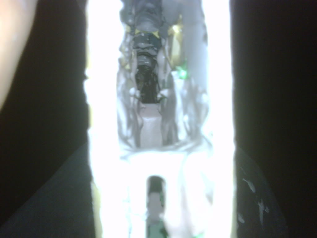 IMG00213-20101023-2307.jpg