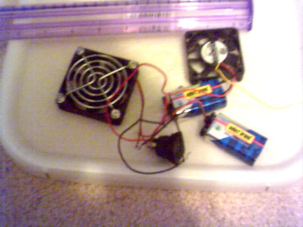 img12.jpg