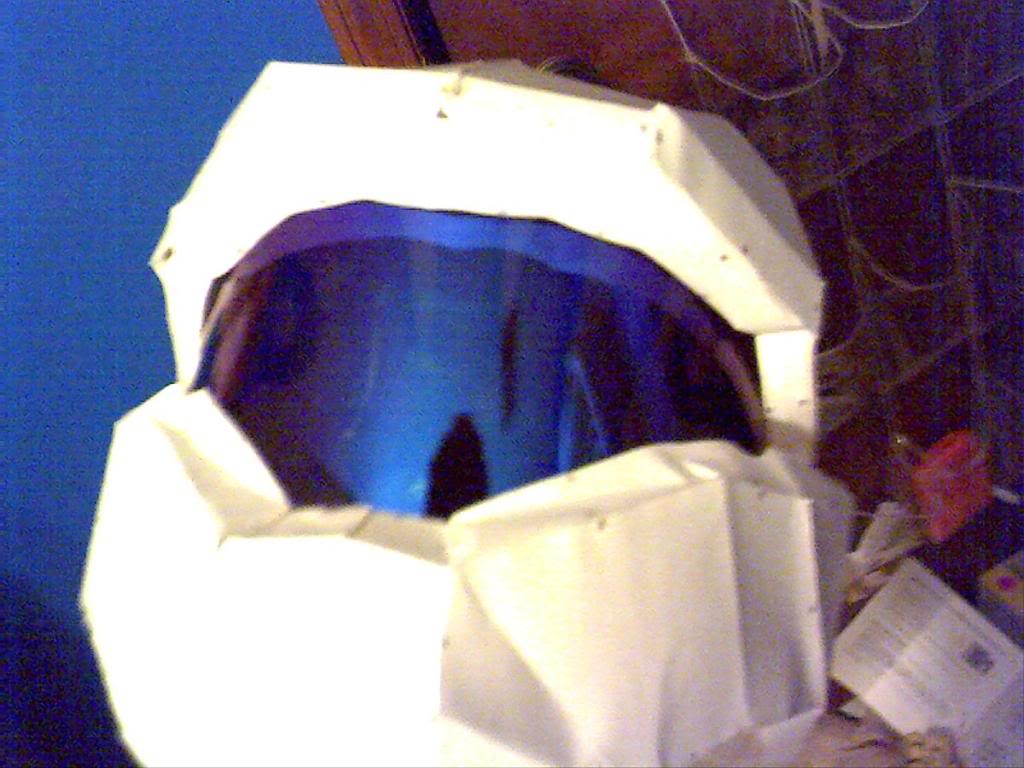 img16.jpg