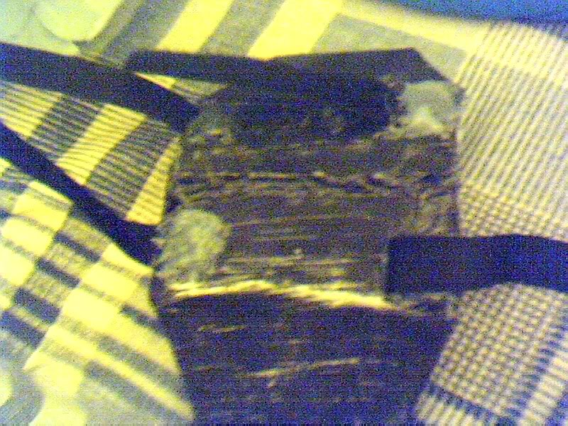 img3-5.jpg