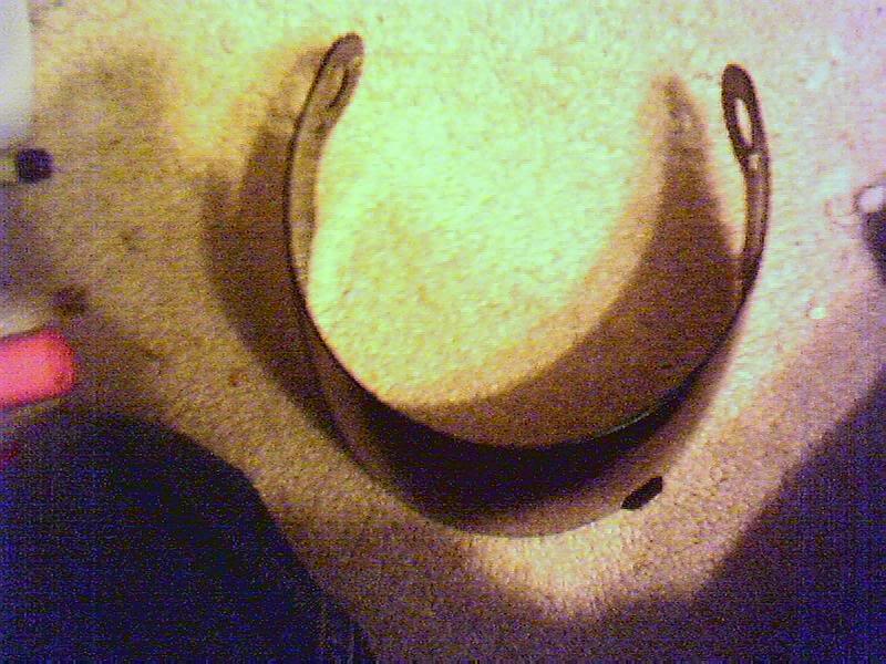 img7.jpg
