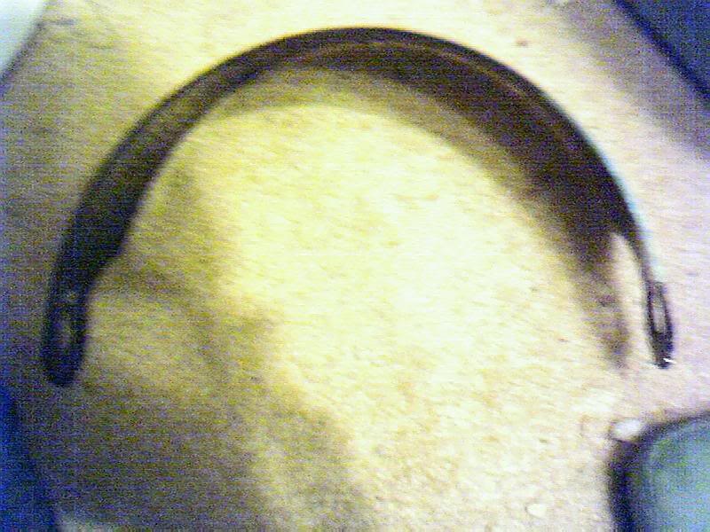 img8.jpg