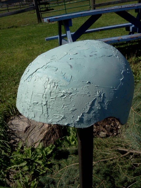IMG845.jpg