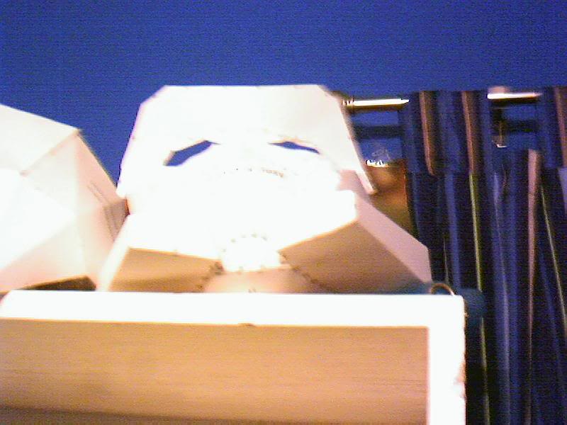 img9.jpg