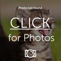 IMG_10991_zps6a26b996.jpg