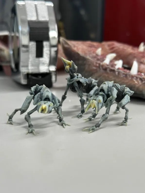 IMG_1729.jpeg