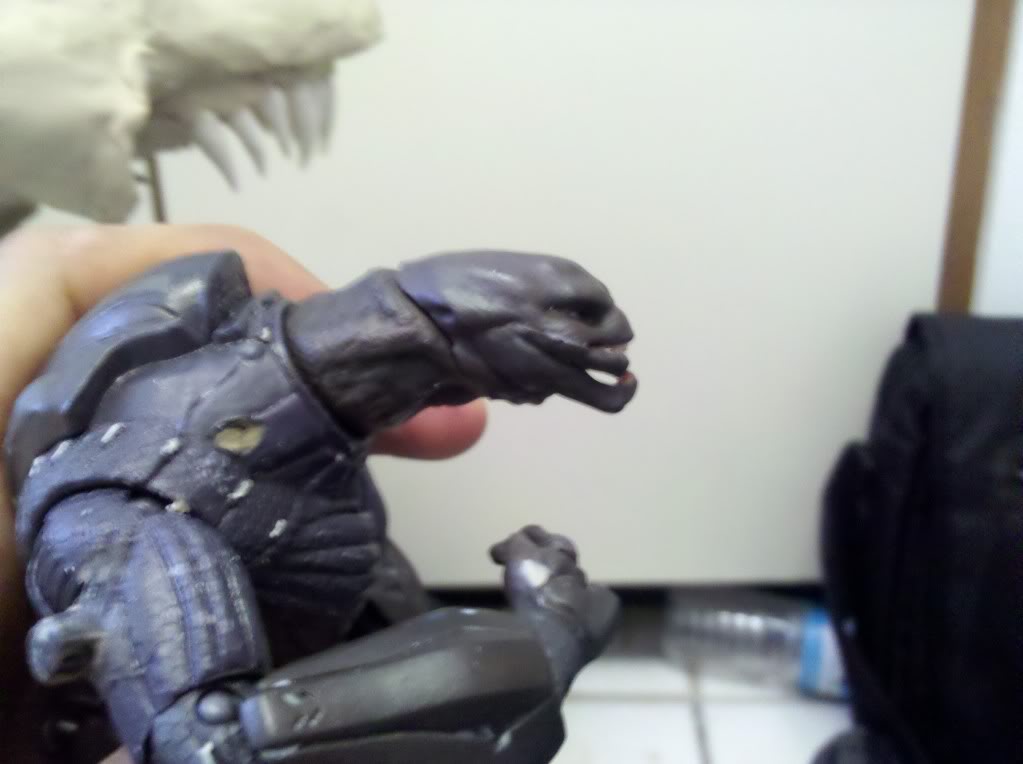 IMG_20110813_172015.jpg