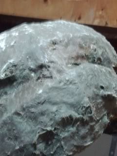 IMG_20120817_202025.jpg