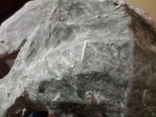 IMG_20120817_202157.jpg