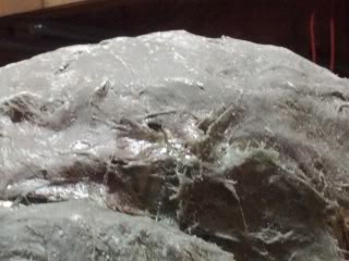 IMG_20120817_202341.jpg