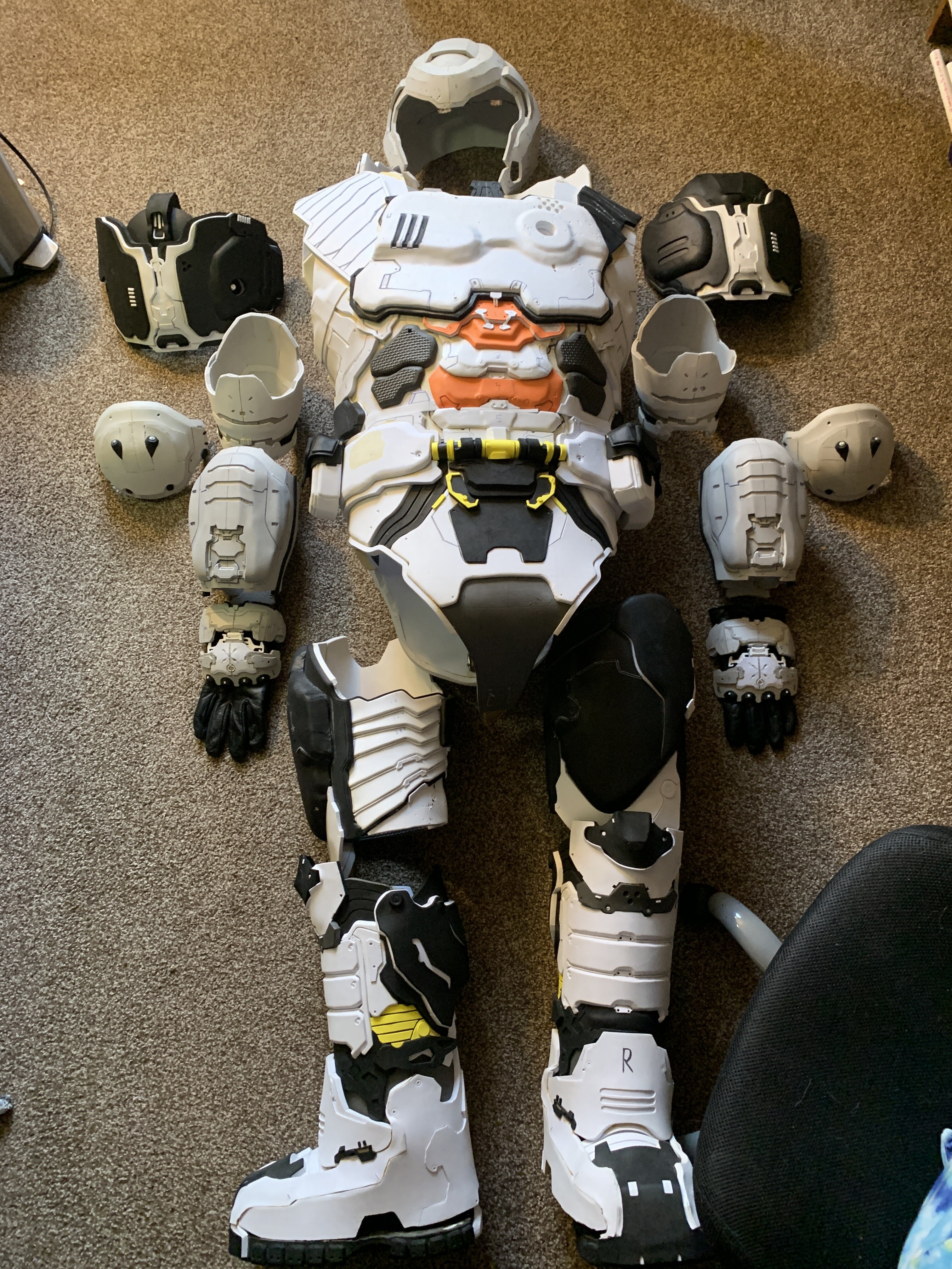 IMG_2785.jpeg