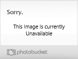IMG_8981.jpg.png