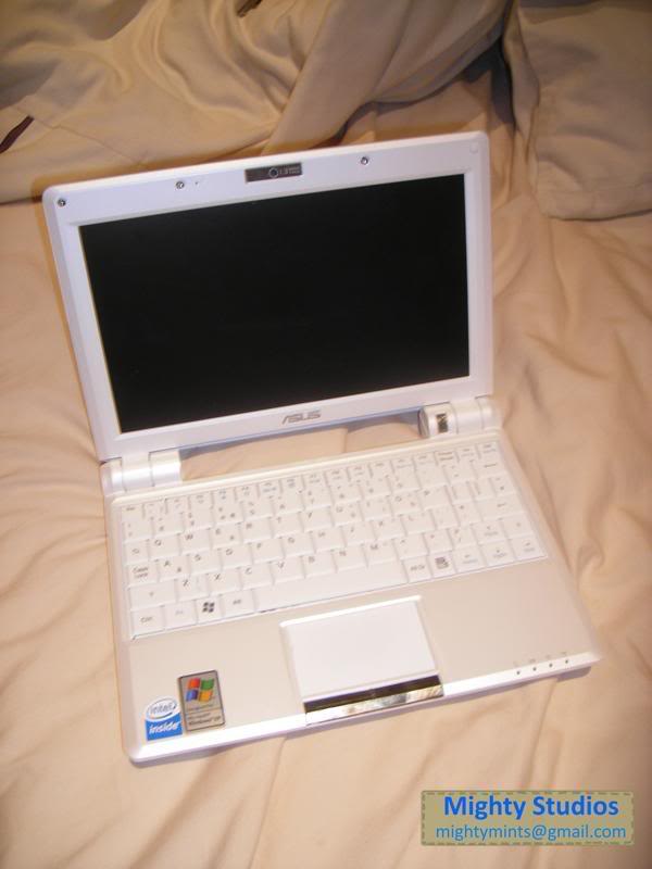 IMGP4133.jpg