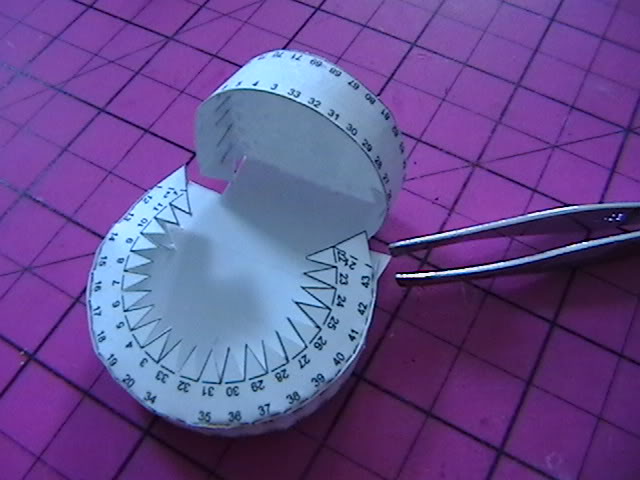 Jorgebuild001-2.jpg