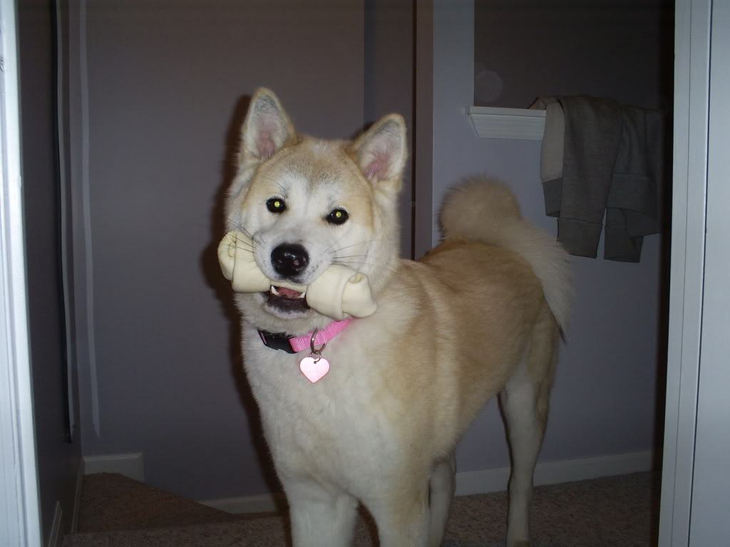 kaiya3.jpg