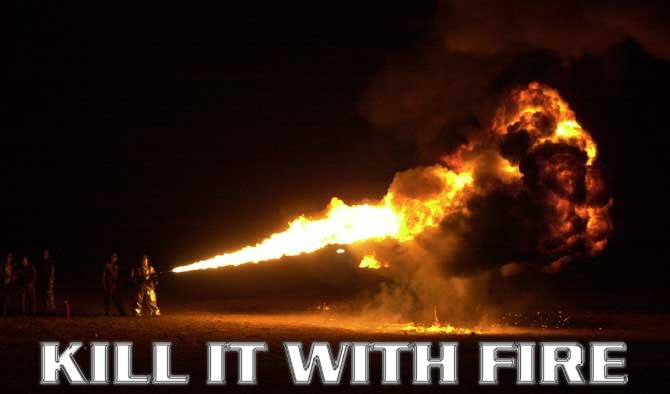 kill_it_with_fire_RE_When_memes_collide-s670x394-93334.jpg