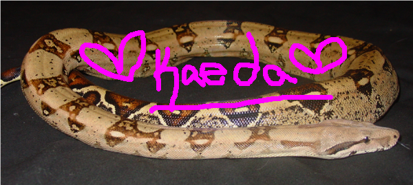 l_406f4b733d8a918359a8d640352ae4-1.png