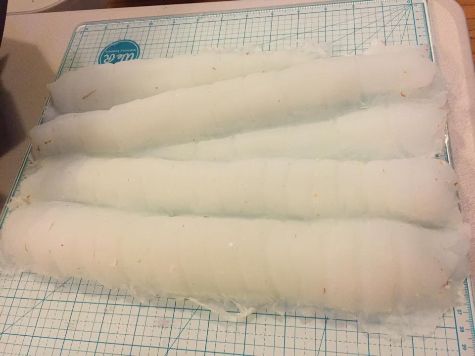 largewormssilicone.jpg