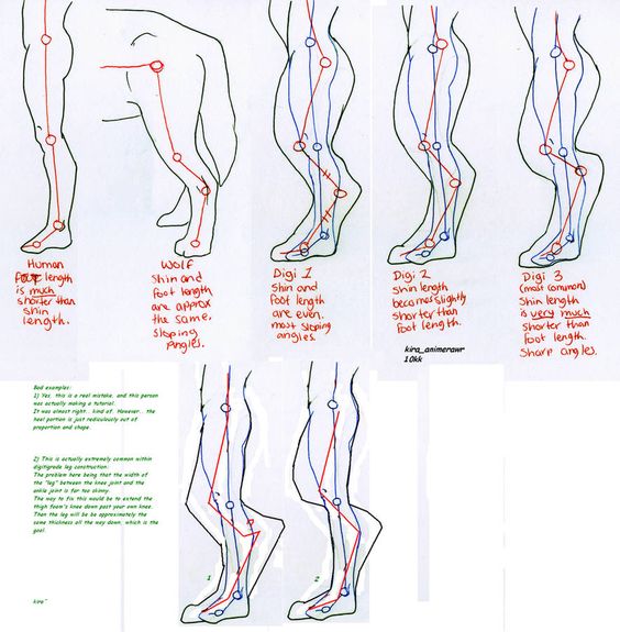 Legs.jpg