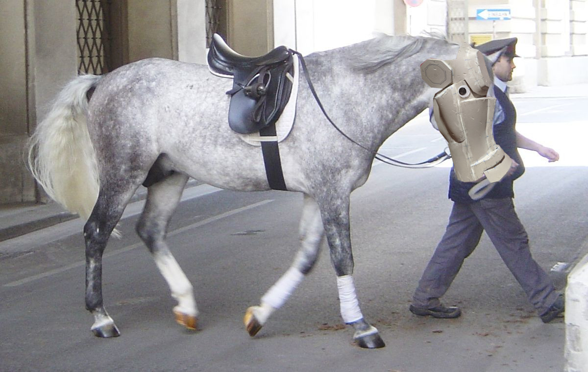 Lipizzaner_DSC02439.jpg