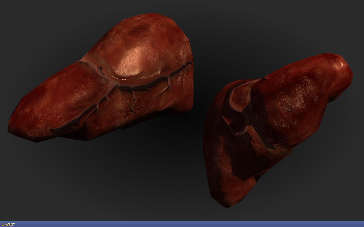 liver_full.jpg