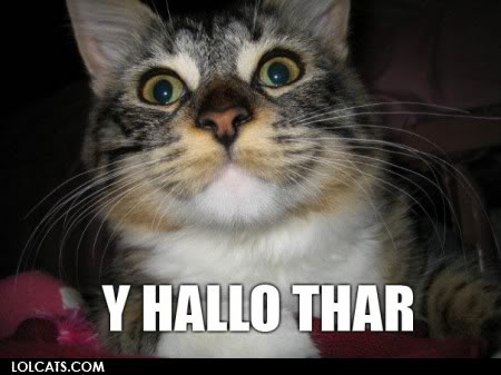 lolcatsdotcome5ivo2e8kw47lwpo.jpg