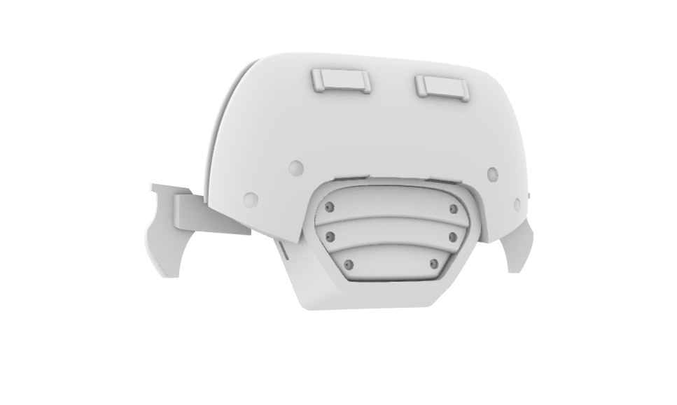 lumbar plates.PNG