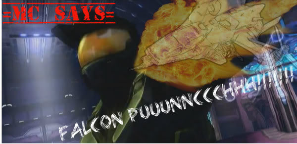 mcfalcon1.jpg