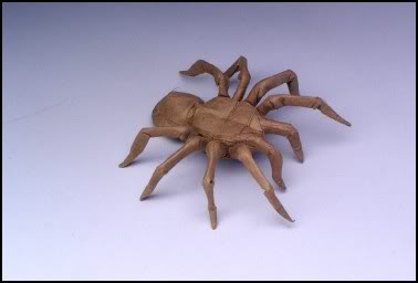 mt_diablo_tarantula.jpg