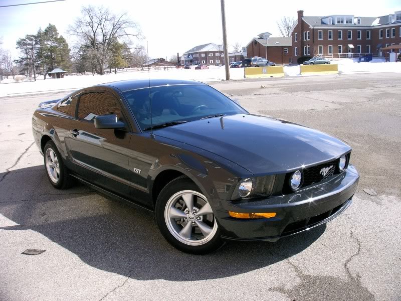 mustang3.jpg