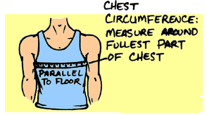 neck.gif