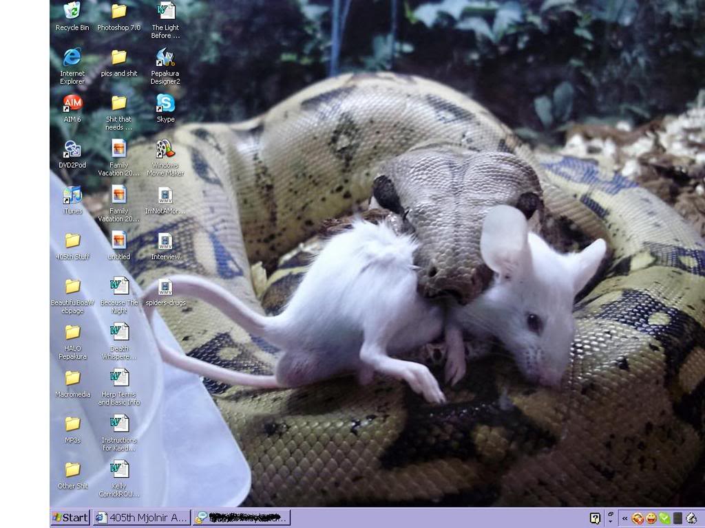 newdesktop.jpg
