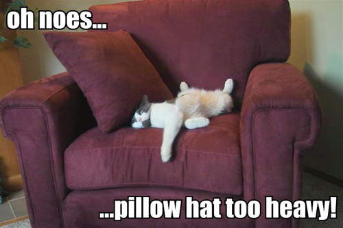 oh-noes-pillow-hat-too-heavy.jpg