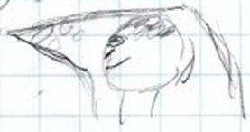 olo.png