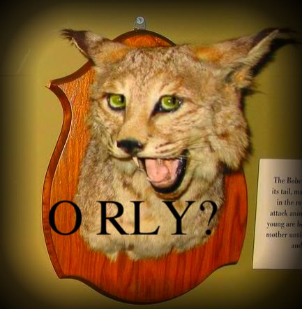 ORLY.jpg