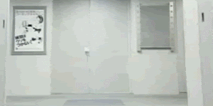 owned_0.gif