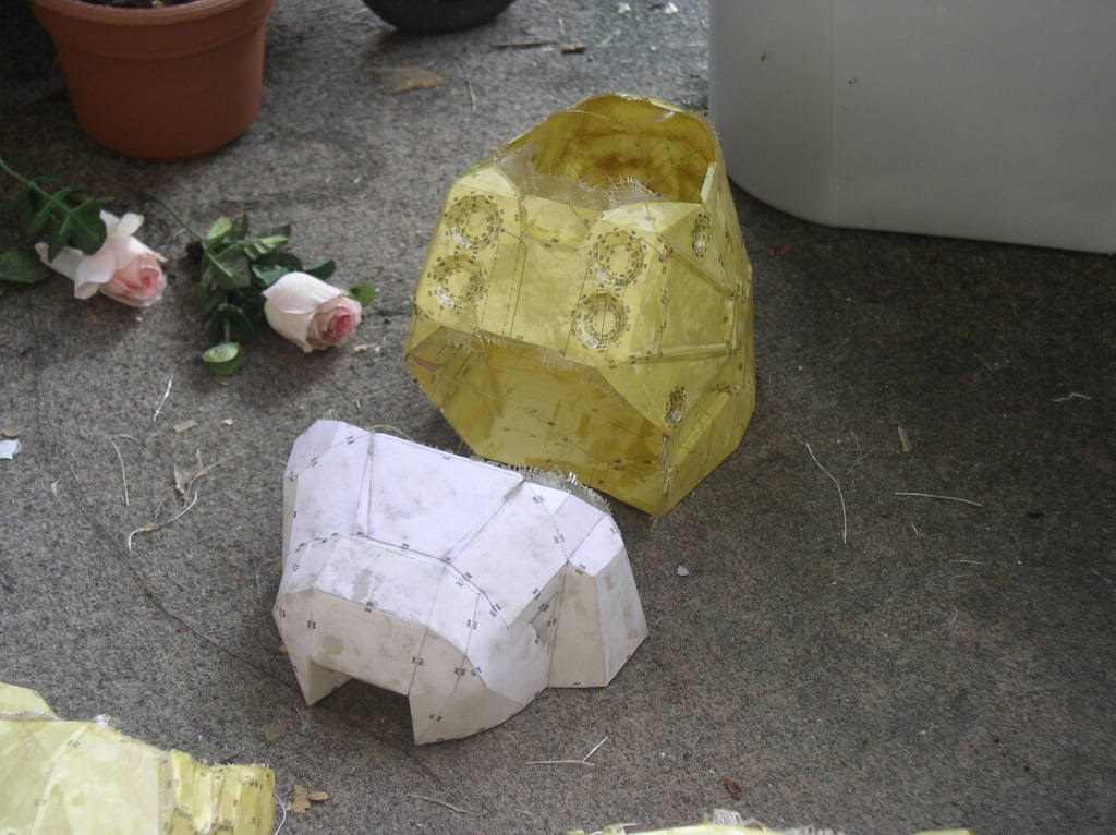 P1010019.jpg