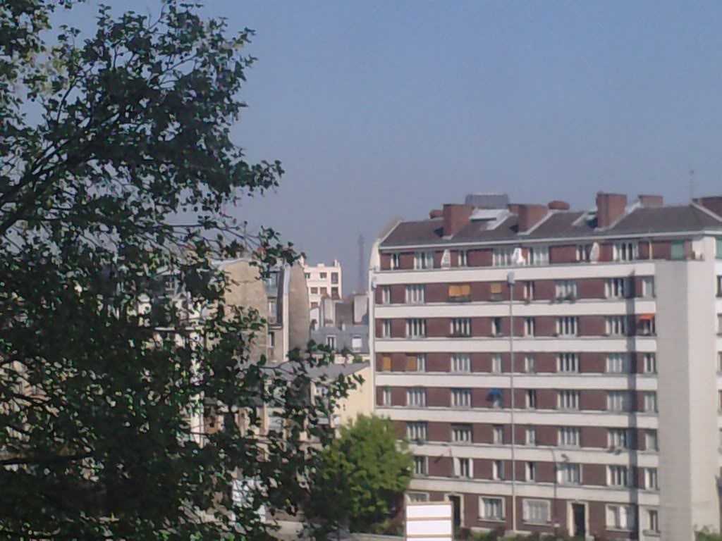 P200411_10480001.jpg