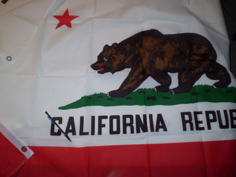 PA110598.jpg