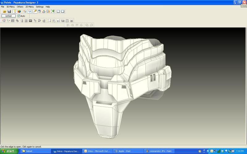 pelvis1.jpg